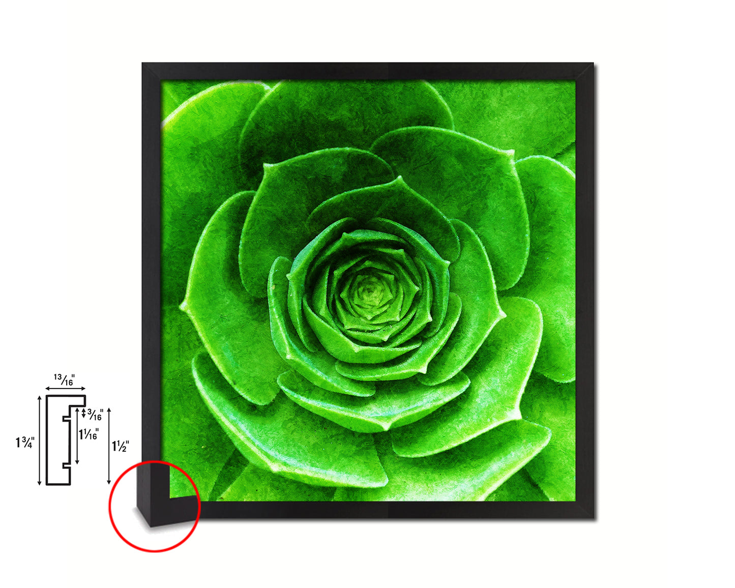 Green Succulent Plants Evergreen Leaves Spiral Plant Wood Framed Print Decor Wall Art Gifts