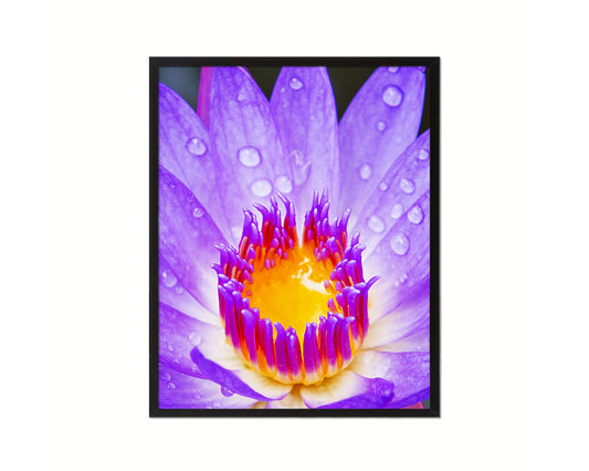 Lotus Purple Flower Wood Framed Paper Print Wall Decor Art Gifts