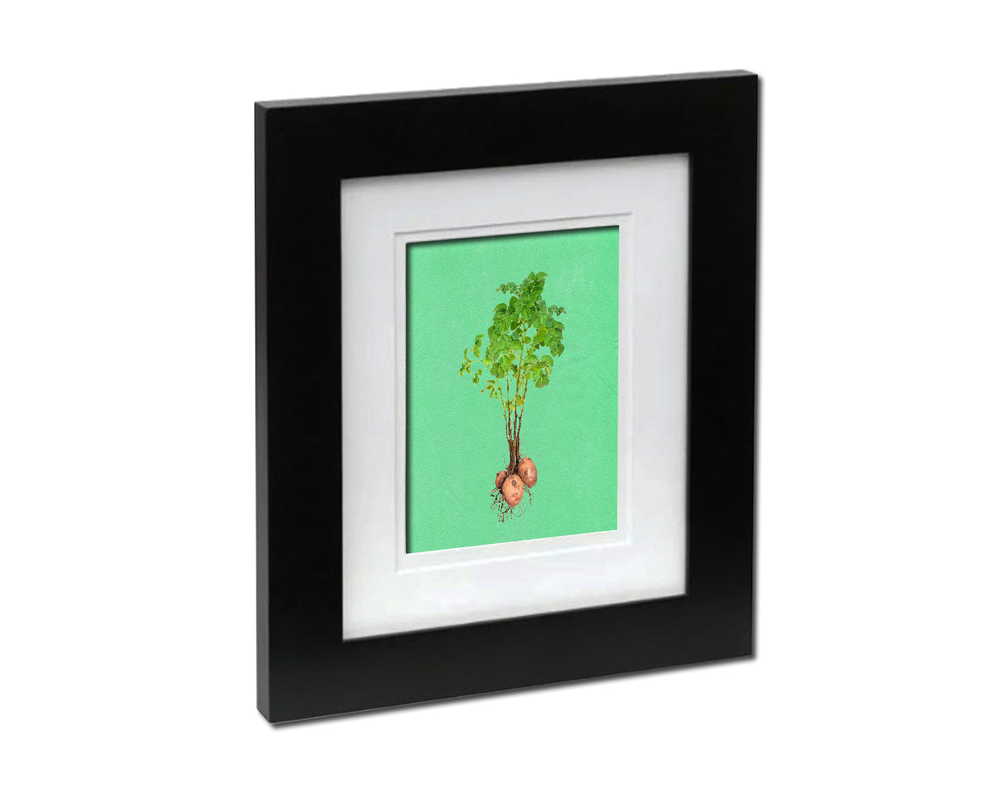 Potato with Tubers Colorful Plants Art Wood Framed Print Wall Decor Gifts