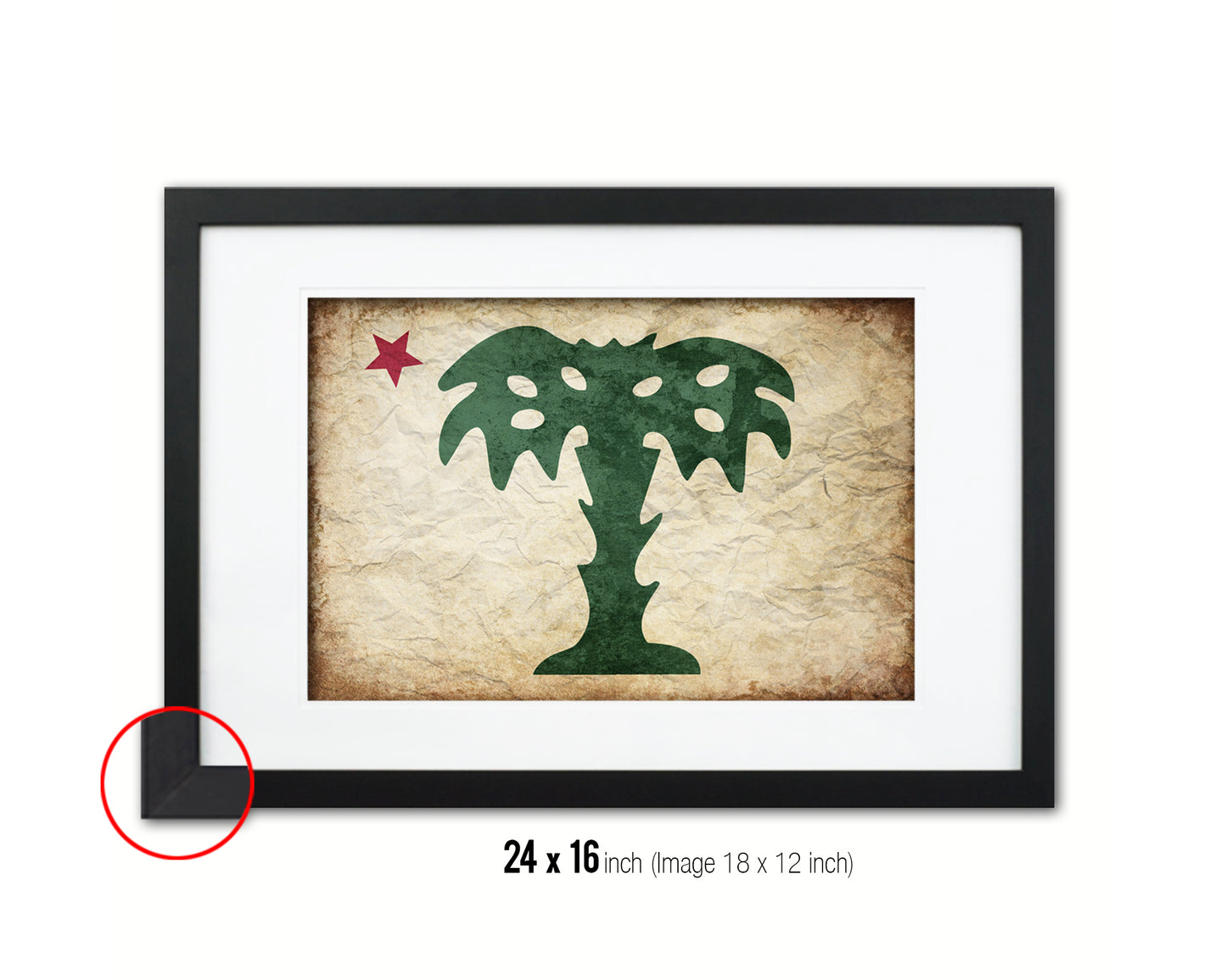 South Carolina Palmetto Guard Vintage Military Flag Framed Print Sign Decor Wall Art Gifts