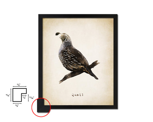 Quail Vintage Bird Fine Art Paper Prints Home Decor Wall Art Gifts