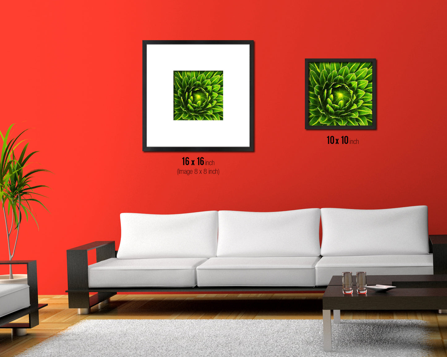 The Cactus Bud of Plant Evergreen Succulent Leaves Spiral Plant Framed Print Home Decor Wall Art