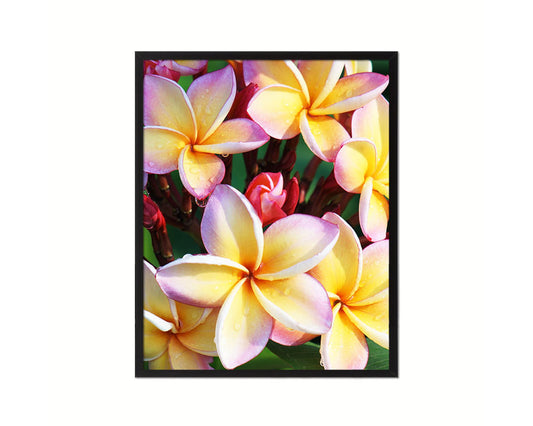 Plumerias White Flower Wood Framed Paper Print Wall Decor Art Gifts