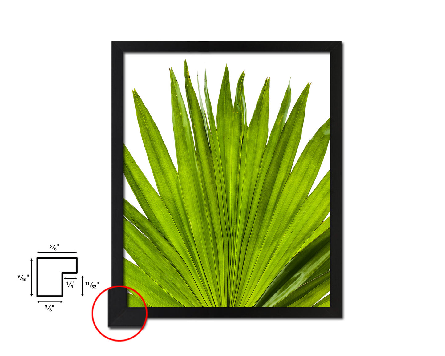 Green Palm Tropical Leaf Framed Print Sign Decor Wall Art Gifts