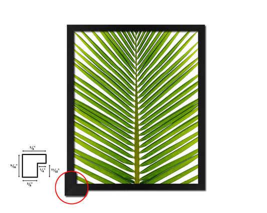 The Coconut Palm Leaves Tropical Leaf Botanical Framed Print Home Decor Wall Art Gifts