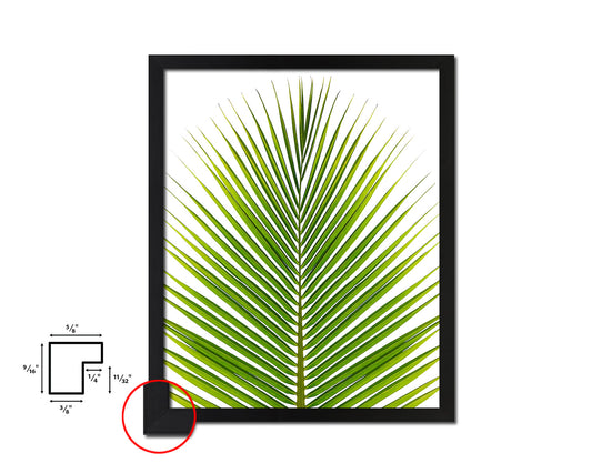 The Coconut Palm Leaves Tropical Leaf Botanical Framed Print Home Decor Wall Art Gifts