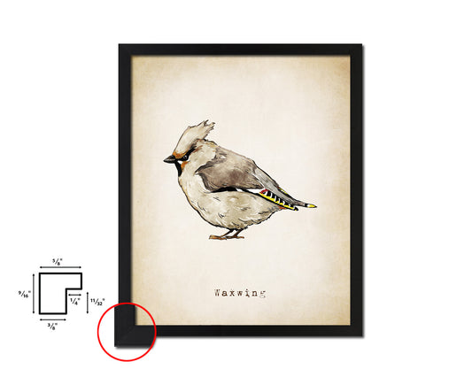 Waxwing Vintage Bird Fine Art Paper Prints Home Decor Wall Art Gifts