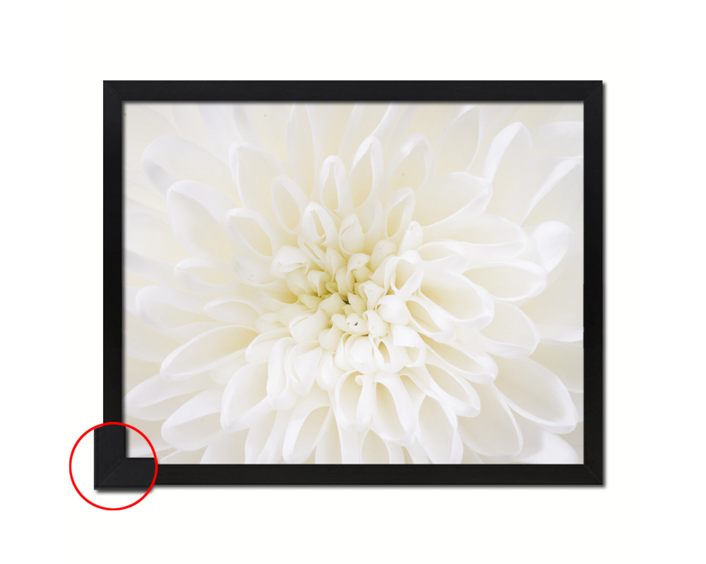 Chrysant White Flower Wood Framed Paper Print Wall Decor Art Gifts