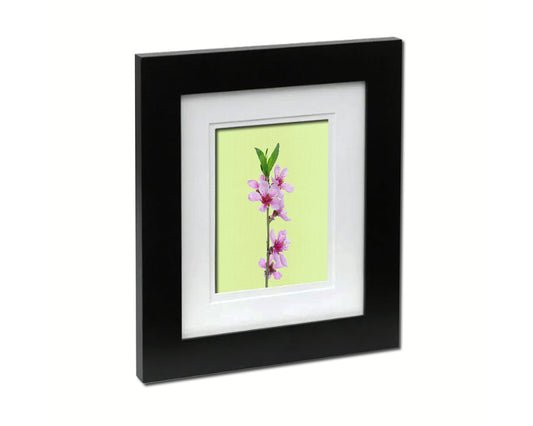 Flowering Cherry Colorful Plants Art Wood Framed Print Wall Decor Gifts