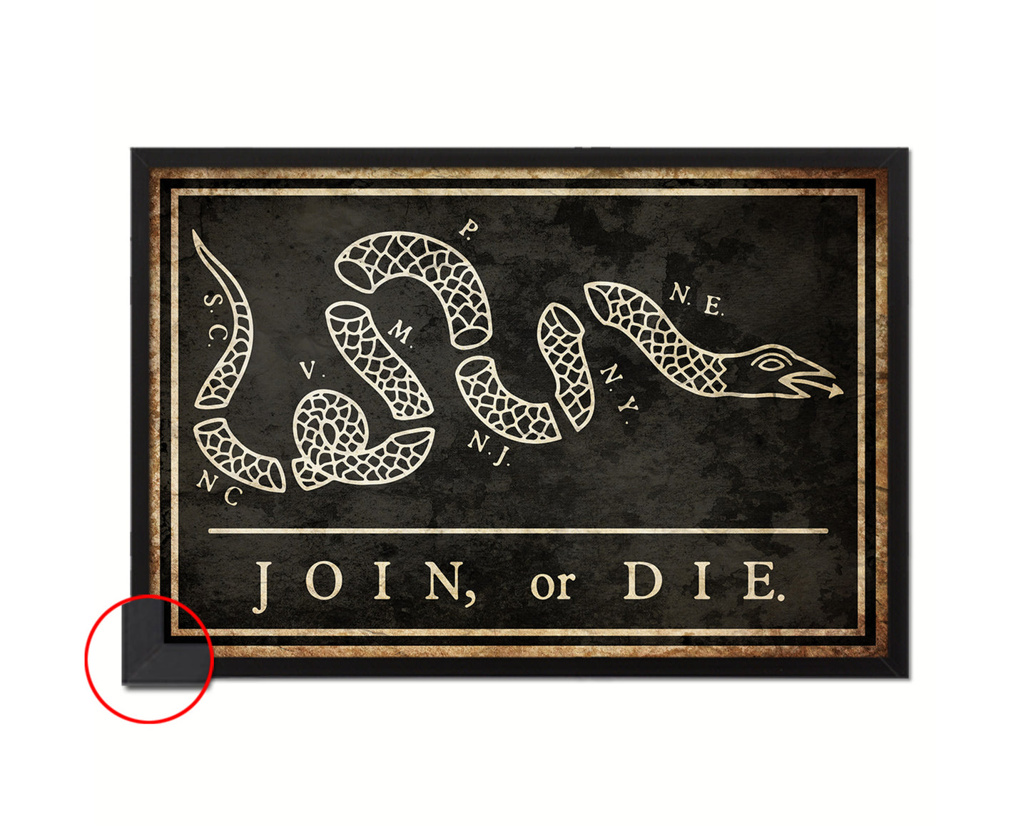 US Join or Die Snake Colonial Revolutionary War Vintage Military Flag Framed Print Art