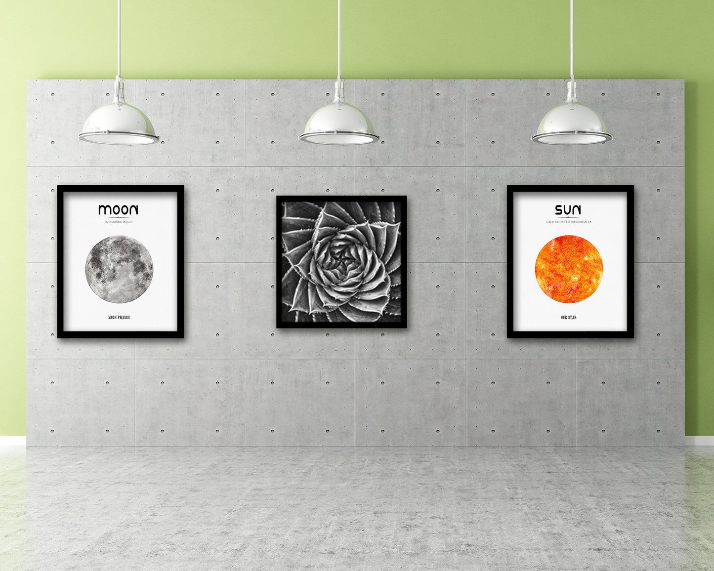 Spiral Leaves Plants B &W Succulent Leaves Spiral Plant Wood Framed Print Decor Wall Art Gifts