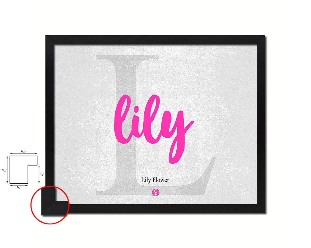 Lily Personalized Biblical Name Plate Art Framed Print Kids Baby Room Wall Decor Gifts