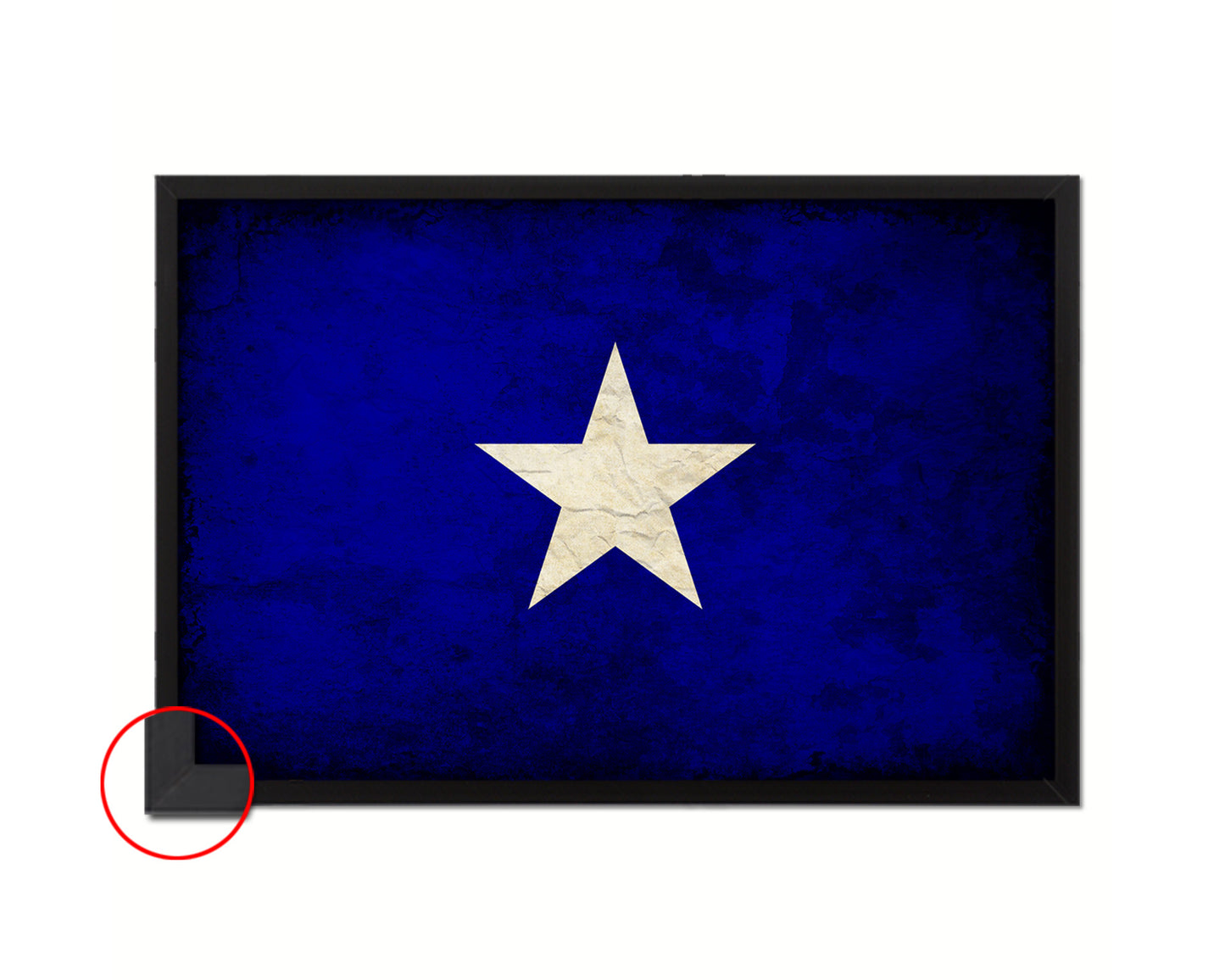 Bonnie Blue in Republic of West Florida Vintage Military Flag Framed Print Art