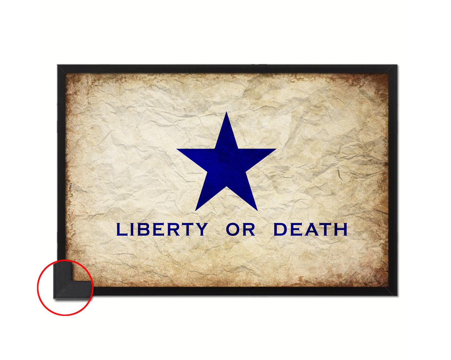 Liberty or Death Goliad Texas Battle Independence Vintage Military Flag Framed Print Art