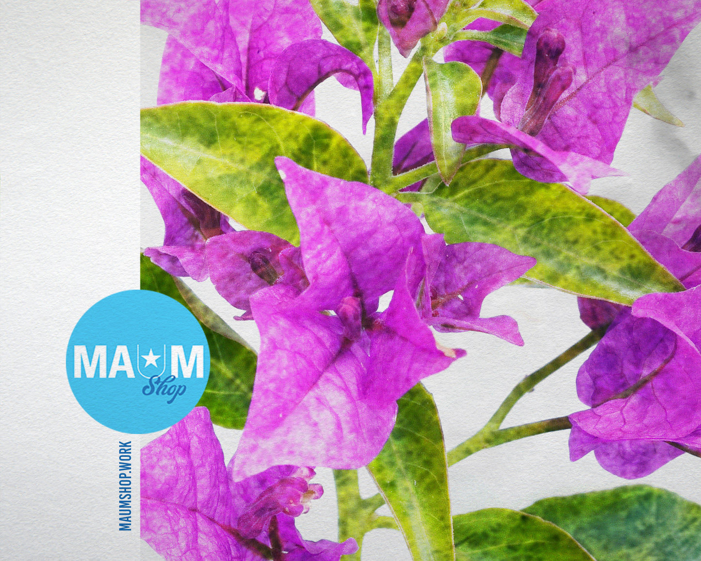 Bougainvillea Glabra Spectabilis Marble Texture Plants Art Wood Framed Print Wall Decor Gifts