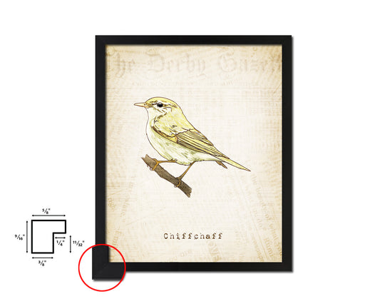 Chiffchaff Vintage Bird Fine Art Paper Prints Home Decor Wall Art Gifts