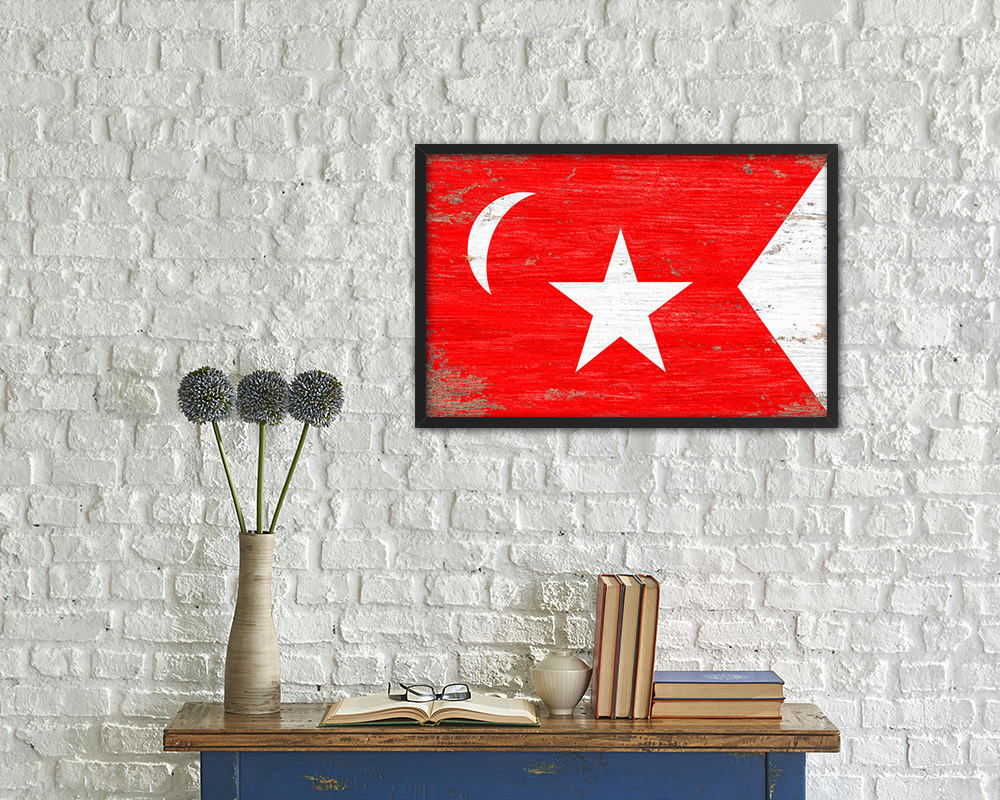 South Carolina Secession US Historical Civil War Shabby Chic Military Flag Framed Print Art