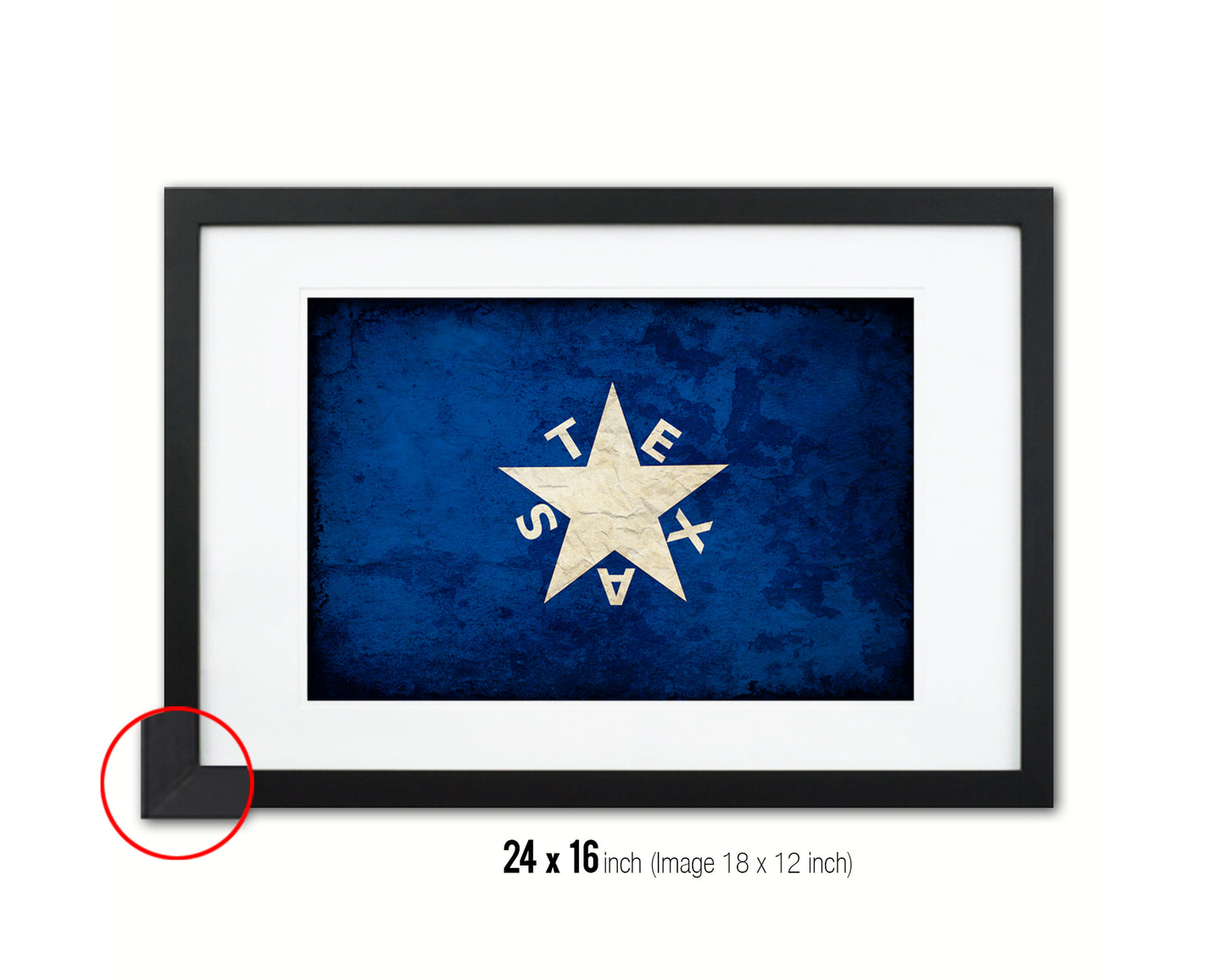 Texas History Lorenzo De Zavala Vintage Military Flag Framed Print Sign Decor Wall Art Gifts