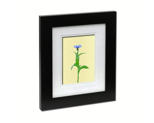 Cornflower Colorful Plants Art Wood Framed Print Wall Decor Gifts