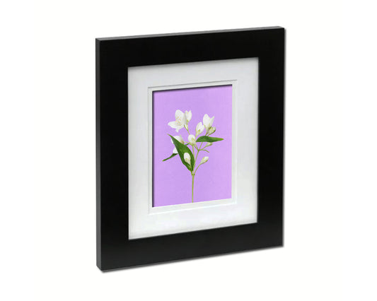 Jasmin Colorful Plants Art Wood Framed Print Wall Decor Gifts