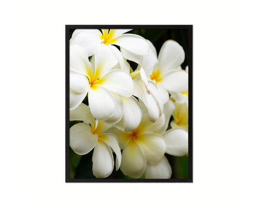 Plumerias White Flower Wood Framed Paper Print Wall Decor Art Gifts