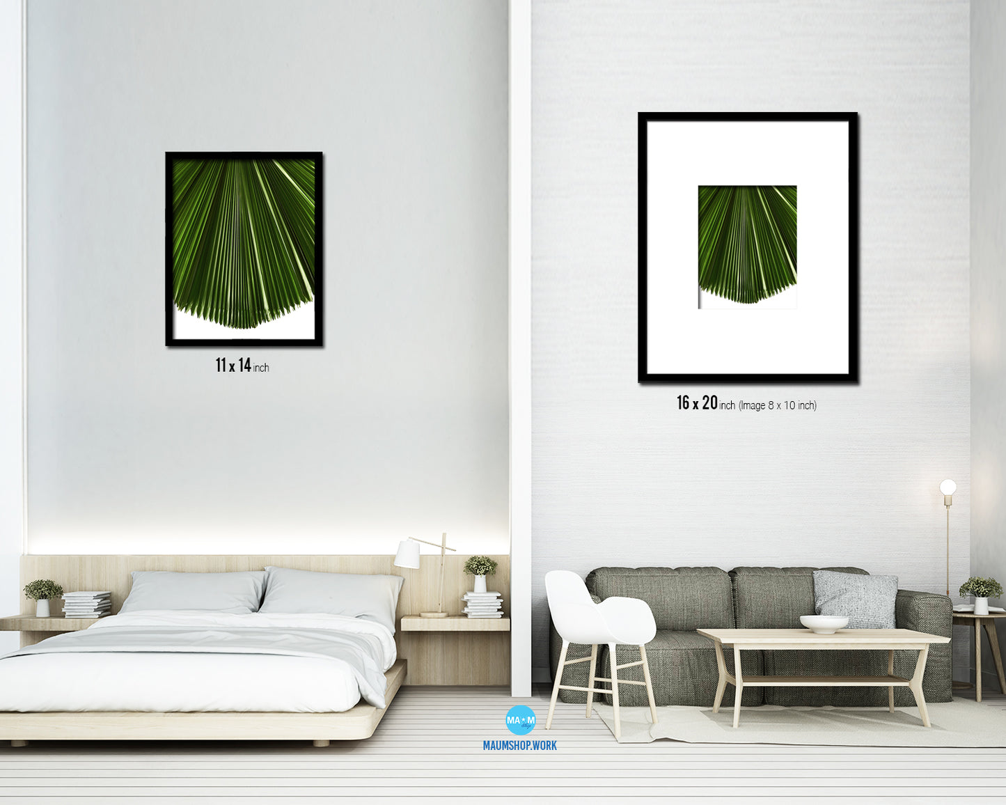 Licuala Grandis, Ruffled Fan Palm Tropical Leaf Framed Print Home Decor Wall Art Gifts