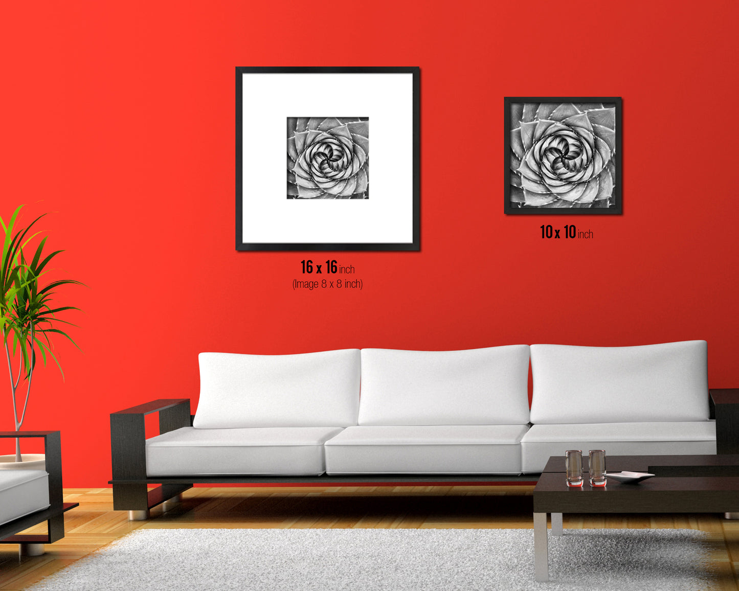 Aloe Succulent African B &W Leaves Spiral Plant Wood Framed Print Decor Wall Art Gifts