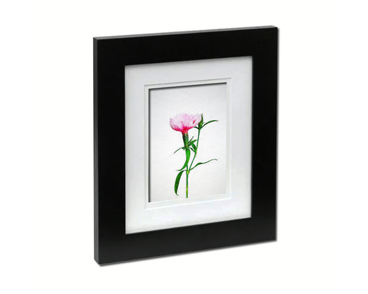 Carnation Sketch Plants Art Wood Framed Print Wall Decor Gifts