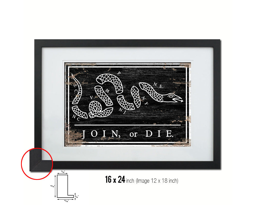 US Join or Die Snake Colonial Revolutionary War Shabby Chic Military Flag Framed Print Art