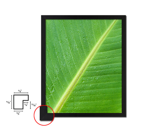 Banana Tropical Leaf Framed Print Sign Decor Wall Art Gifts