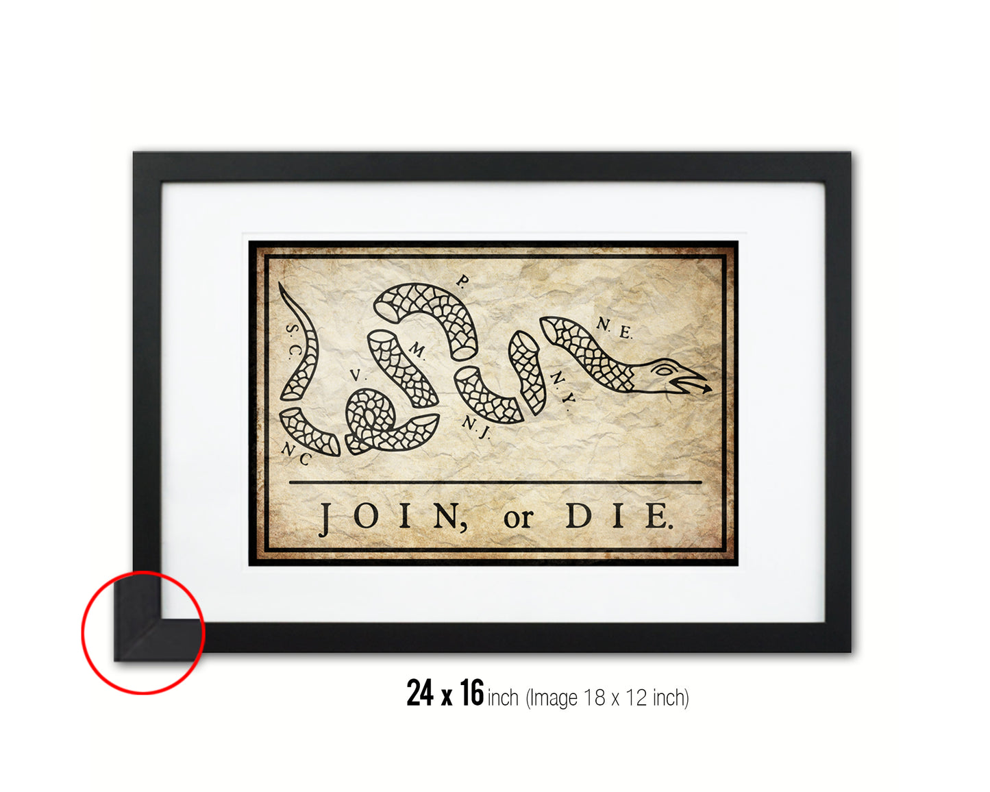 US Join or Die Snake Colonial Revolutionary War Vintage Military Flag Framed Print Art