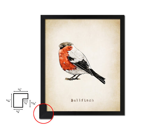 Bullfinch Vintage Bird Fine Art Paper Prints Home Decor Wall Art Gifts