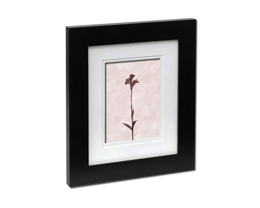 Butterfly Orchid Sepia Plants Art Wood Framed Print Wall Decor Gifts