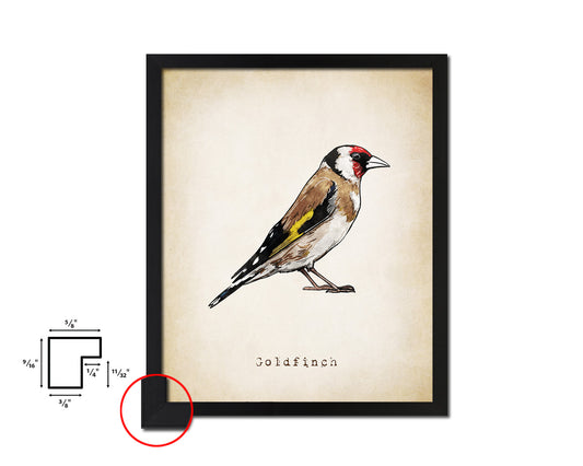 Goldfinch Vintage Bird Fine Art Paper Prints Home Decor Wall Art Gifts