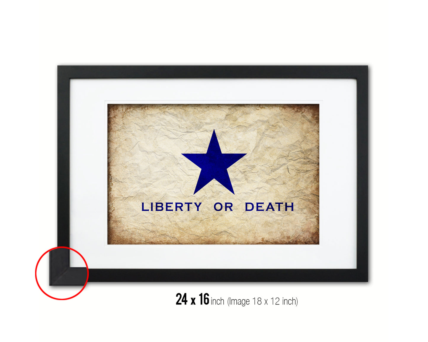 Liberty or Death Goliad Texas Battle Independence Vintage Military Flag Framed Print Art