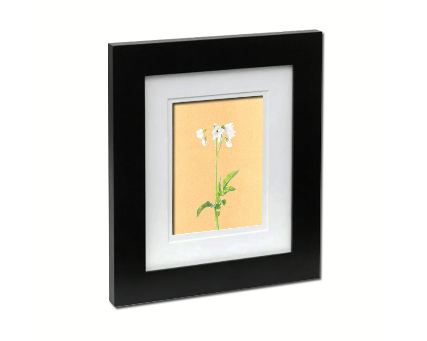 Potato Flowers Colorful Plants Art Wood Framed Print Wall Decor Gifts