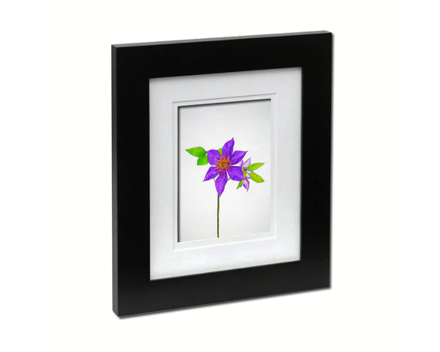 Clematis Sketch Plants Art Wood Framed Print Wall Decor Gifts