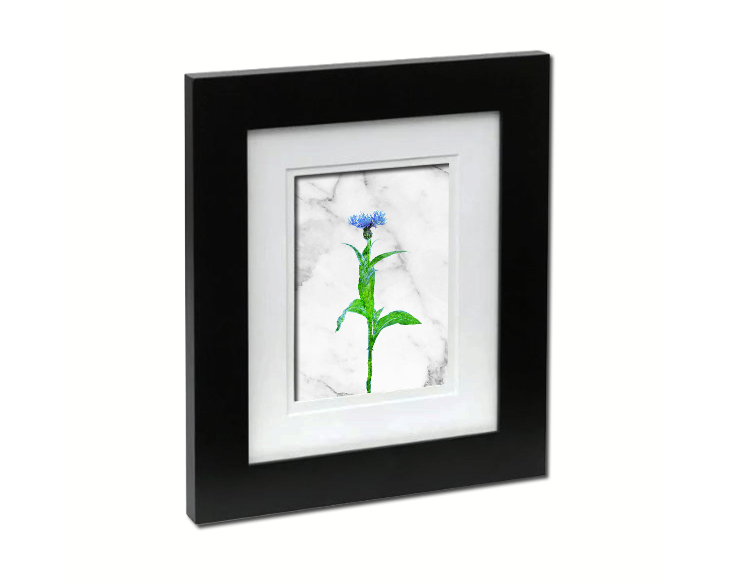 Cornflower Marble Texture Plants Art Wood Framed Print Wall Decor Gifts