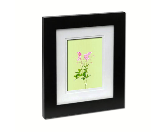 Aquilegia vulgaris Colorful Plants Art Wood Framed Print Wall Decor Gifts