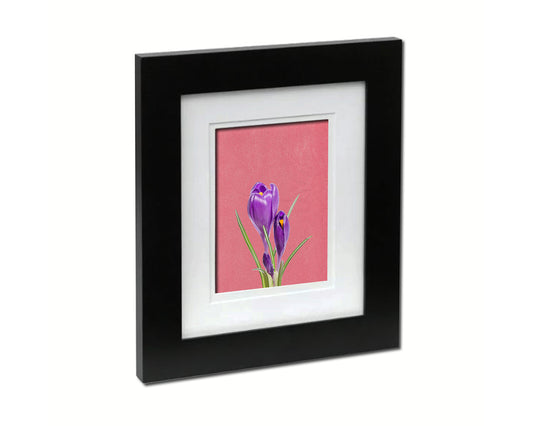 Purple Crocus Spring Colorful Plants Art Wood Framed Print Wall Decor Gifts