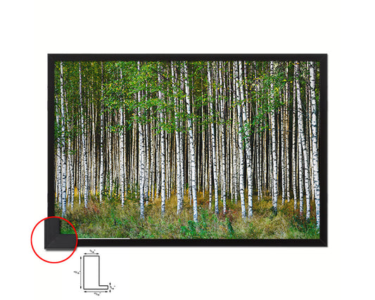 Birch Grove Trees Spring Landscape Painting Print Art Frame Home Wall Decor Gifts