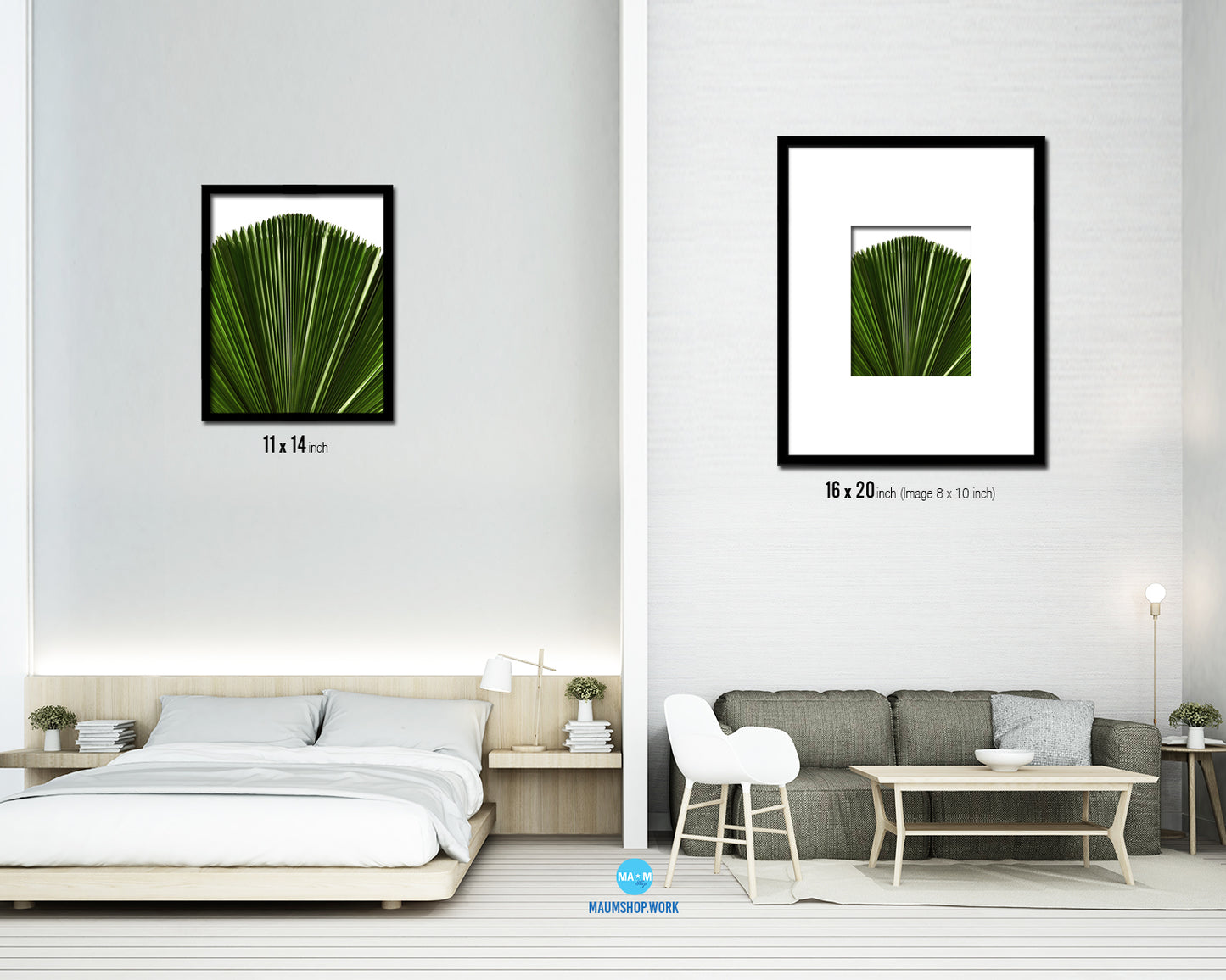 Licuala Grandis, Ruffled Fan Palm Tropical Leaf Framed Print Home Decor Wall Art Gifts