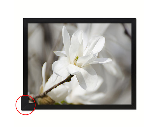 Magnolia White Flower Wood Framed Paper Print Wall Decor Art Gifts