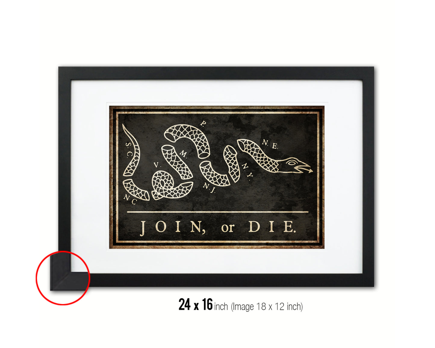 US Join or Die Snake Colonial Revolutionary War Vintage Military Flag Framed Print Art