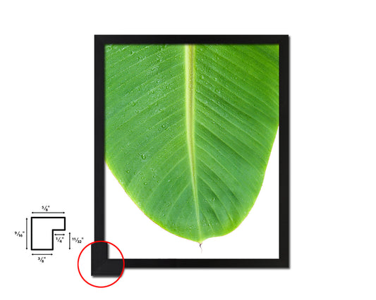 Banana Tropical Leaf Framed Print Sign Decor Wall Art Gifts