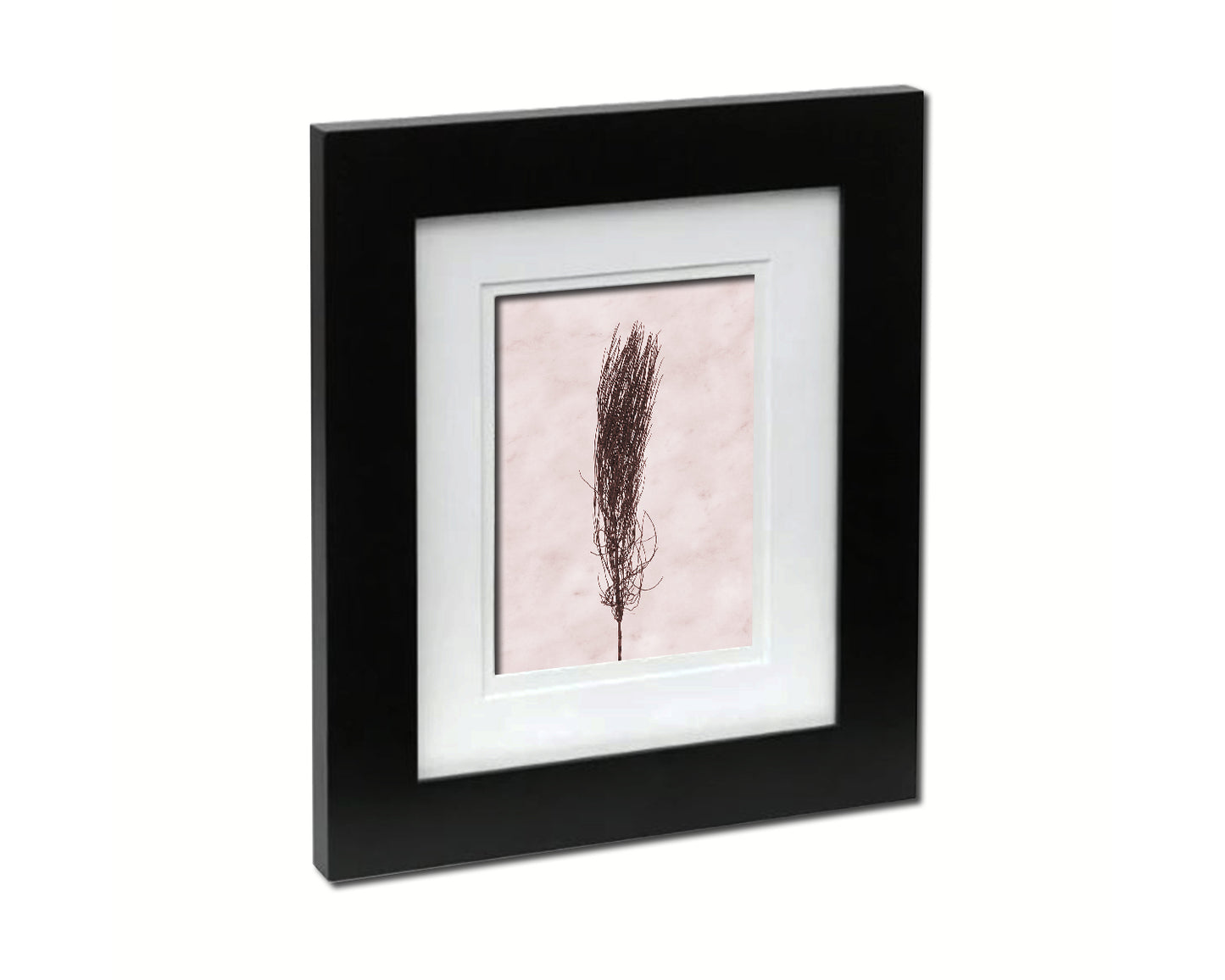 Horsetail Equisetum Sepia Plants Art Wood Framed Print Wall Decor Gifts