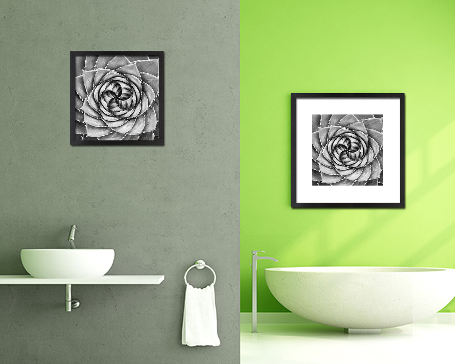 Aloe Succulent African B &W Leaves Spiral Plant Wood Framed Print Decor Wall Art Gifts