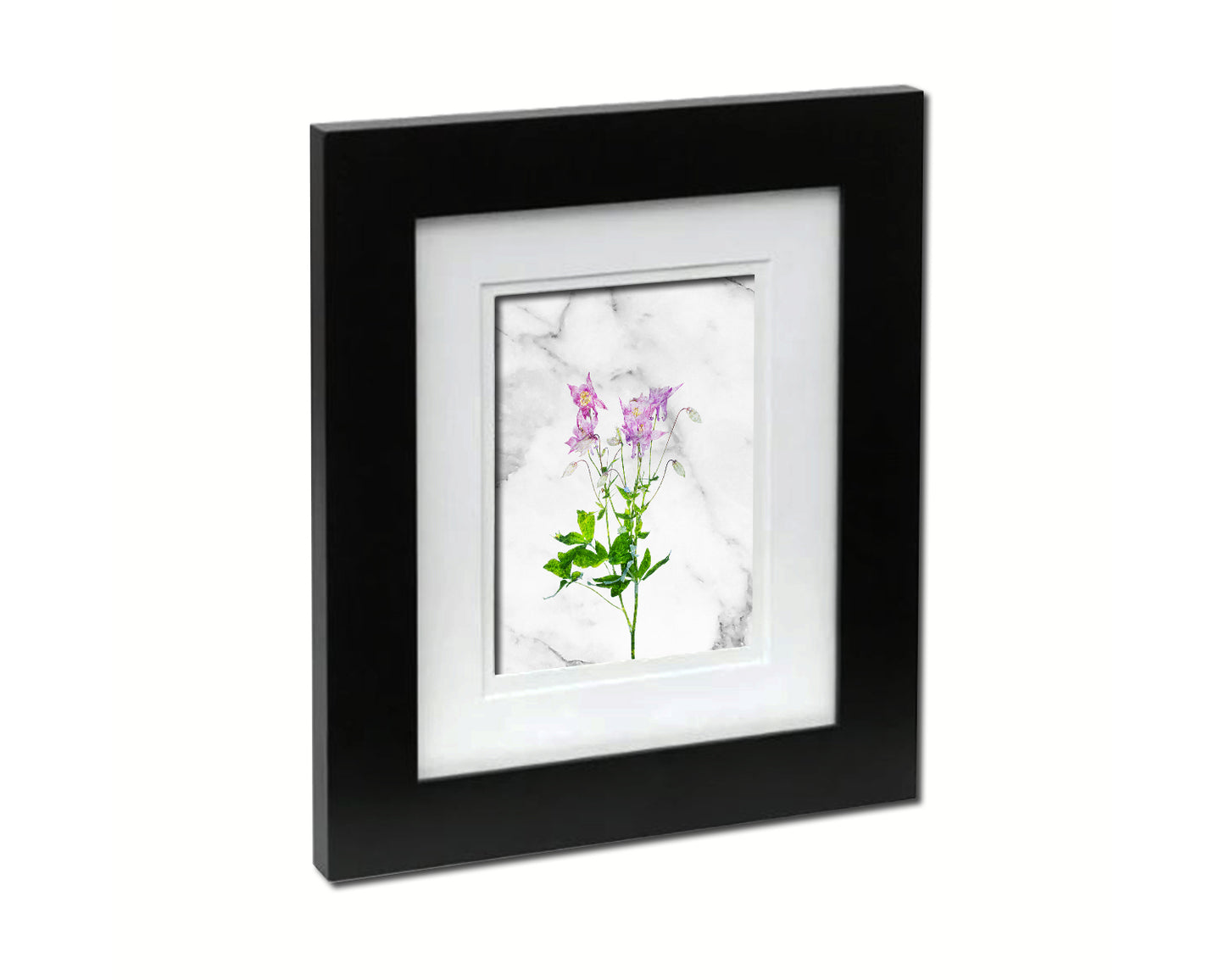 Aquilegia vulgaris Marble Texture Plants Art Wood Framed Print Wall Decor Gifts