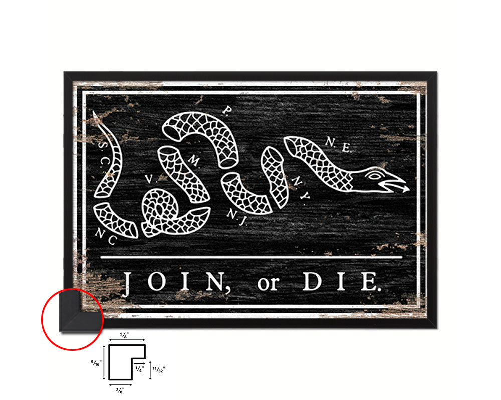 US Join or Die Snake Colonial Revolutionary War Shabby Chic Military Flag Framed Print Art